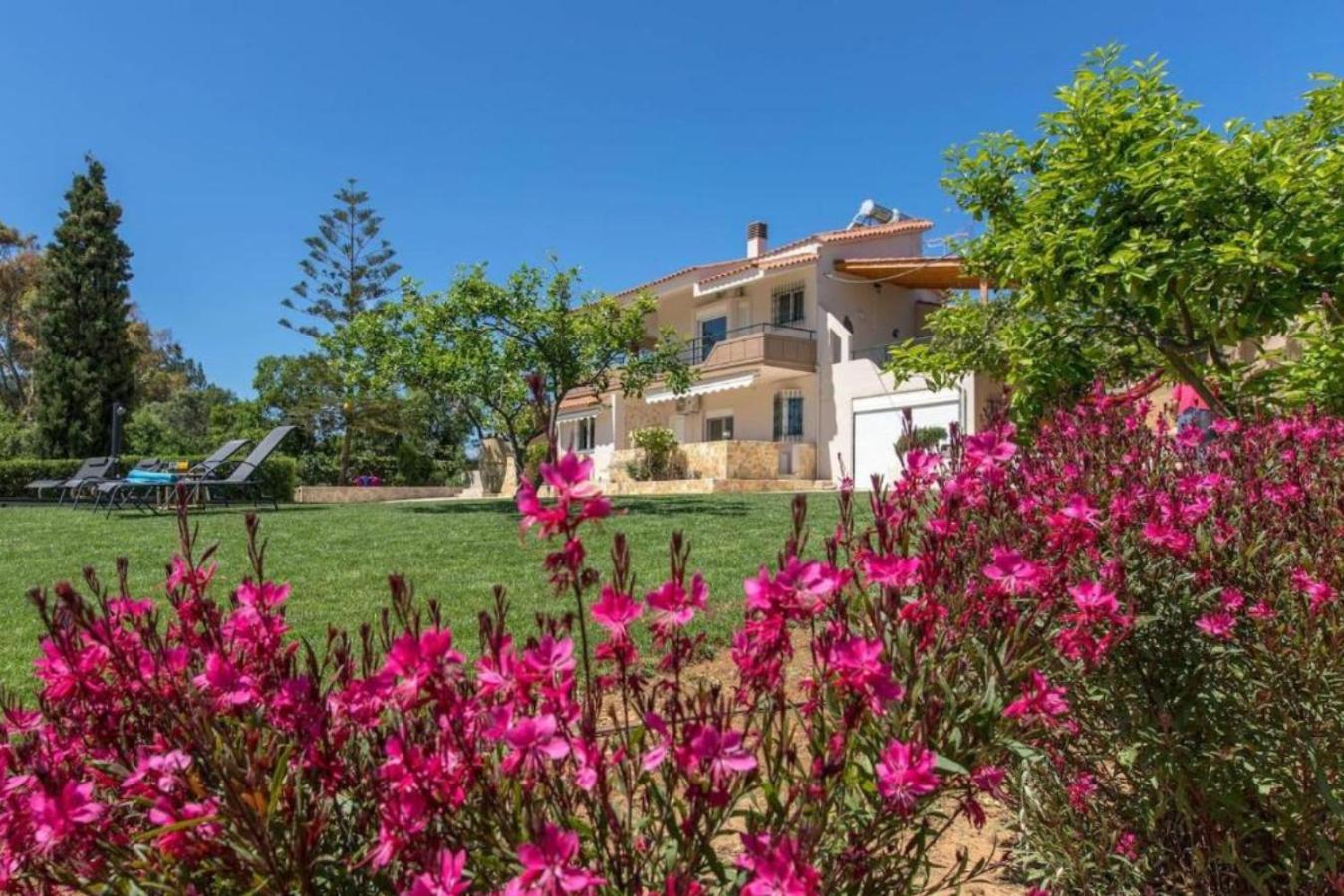 Villa Apella - Private Heated Pool Nohiá Kültér fotó